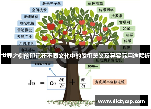 世界之树的印记在不同文化中的象征意义及其实际用途解析