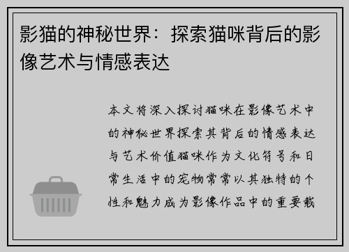 影猫的神秘世界：探索猫咪背后的影像艺术与情感表达